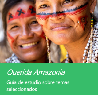 Una guía de estudio para dialogar sobre “Querida Amazonia”